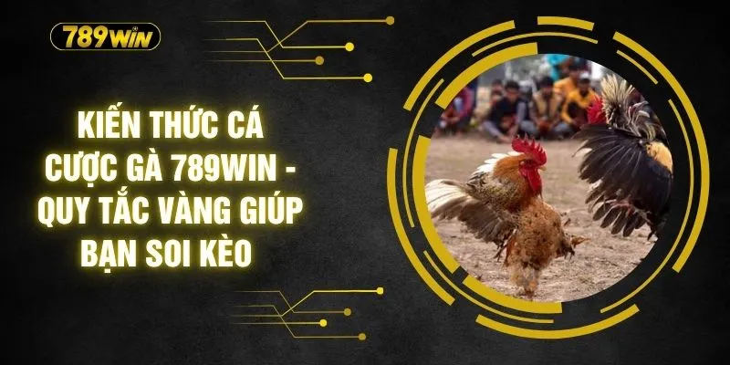 Kiến Thức Cá Cược Gà 789WIN - Quy Tắc Vàng Giúp Bạn Soi Kèo 1 Kiến Thức Cá Cược Gà 789WIN - Quy Tắc Vàng Giúp Bạn Soi Kèo